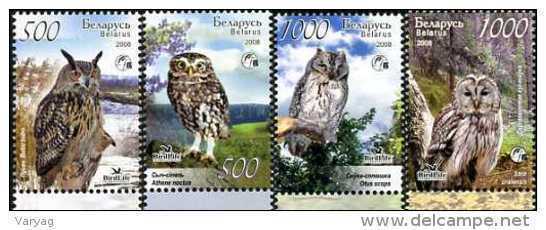 Belarus 2008 Owls 4v MNH - Belarus