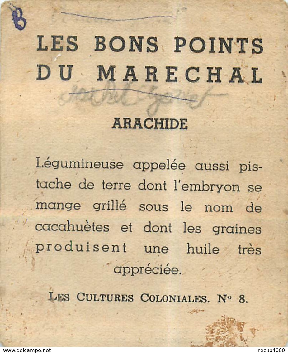 MILITARIA Les Bons Points Du Maréchal  Lot De 5 10scans - 1939-45