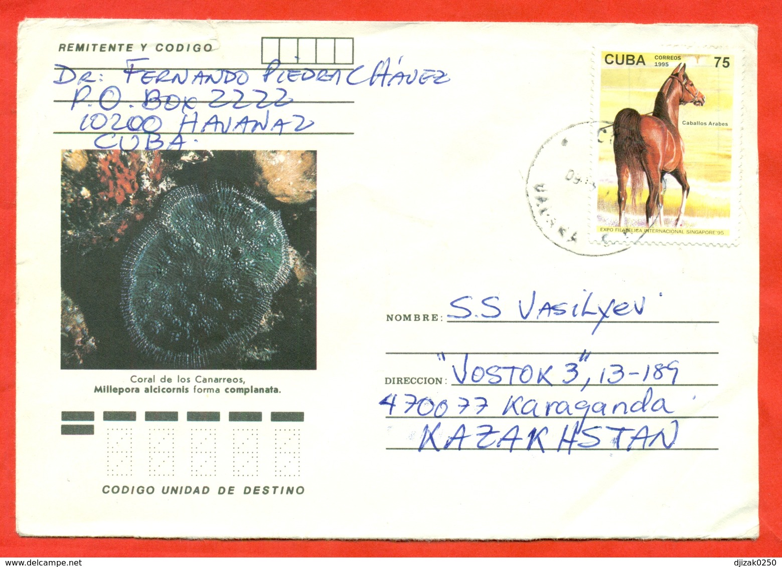 Cuba 1995.Horse, Coral. Envelope Passed The Mail. - Covers & Documents