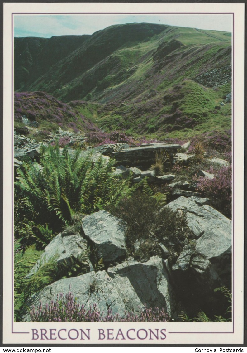 Craig Cerrig-Gleislad, Brecon Beacons, Breconshire, C.1990 - J Arthur Dixon Postcard - Breconshire