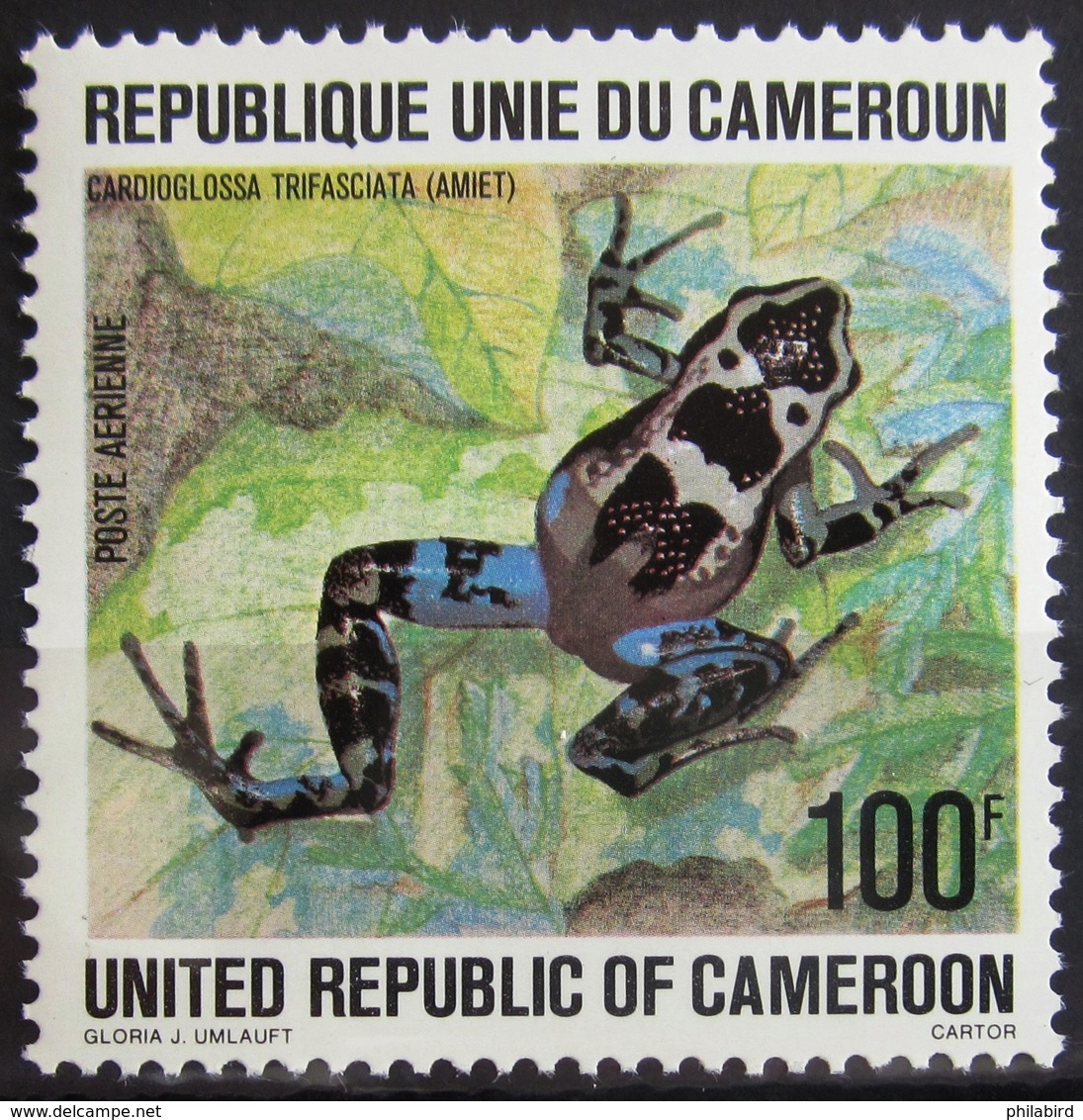 CAMEROUN                PA 281             NEUF** - Cameroun (1960-...)