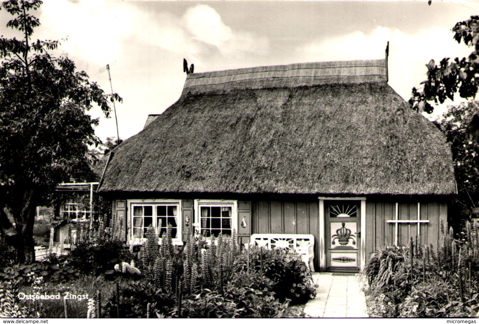 ZINGST - Ostseebad (Kr. Ribnitz-Damgarten) - Zingst