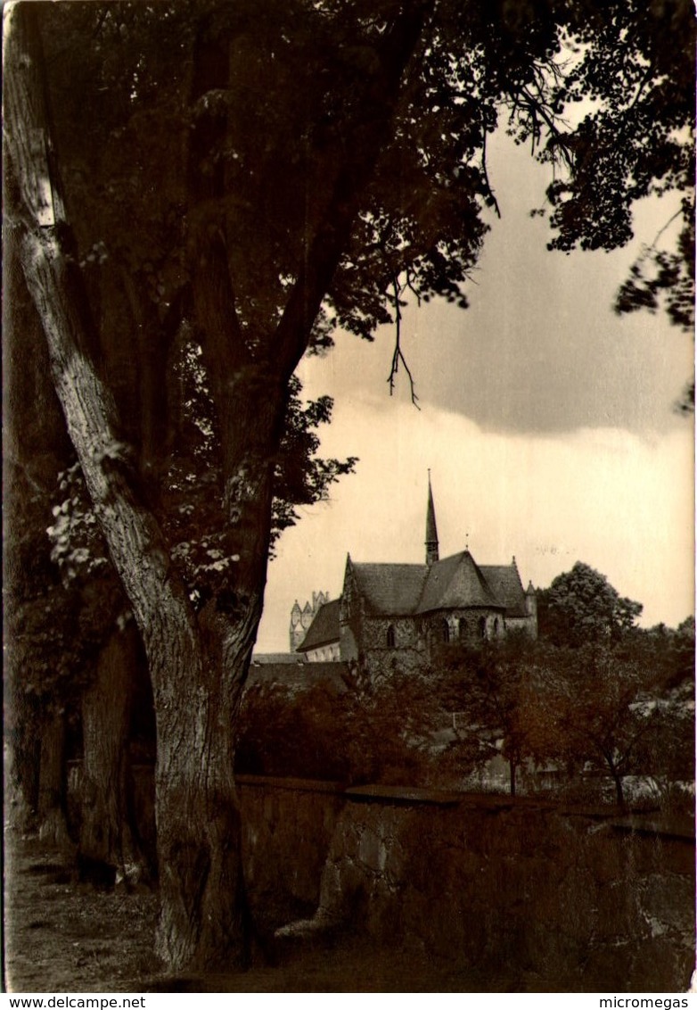 Kloster Chorin - Blick Auf Den Nordgiebel - Chorin