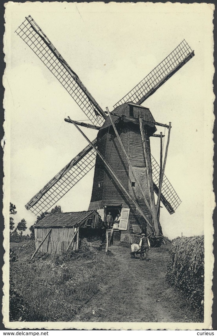 ARENDONK * BEREN MOLEN ( 1790-1929 ) * NIET VERSTUURD - Arendonk