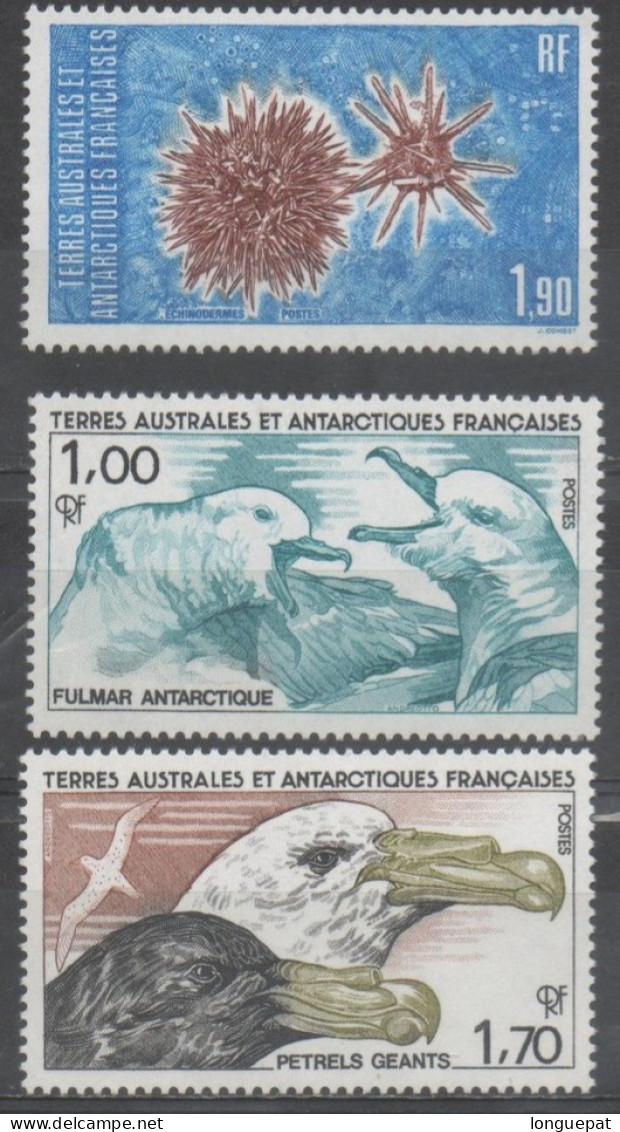 TERRES AUSTRALES Et ANTARCTIQUES Fçaises : Faune Antarctique : Fulmar, Pétrels Géants, Oursin - Oiseaux - Echinidées - Nuovi