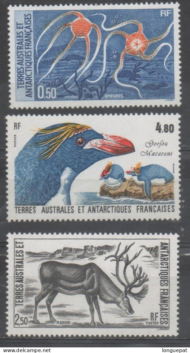 TERRES AUSTRALES Et ANTARCTIQUES Fçaises : Faune Antarctique : Ophiures, Rennes (mammifère), Gorfou Macaroni (oiseau) - Unused Stamps