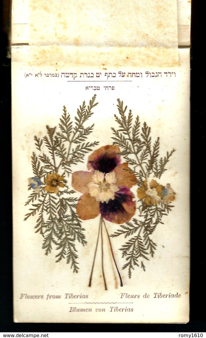 JUDAICA. Ancien reliquaire herbier fleurs de Jérusalem. Relié avec couverture en bois d'olivier. 12 planches. Complet.