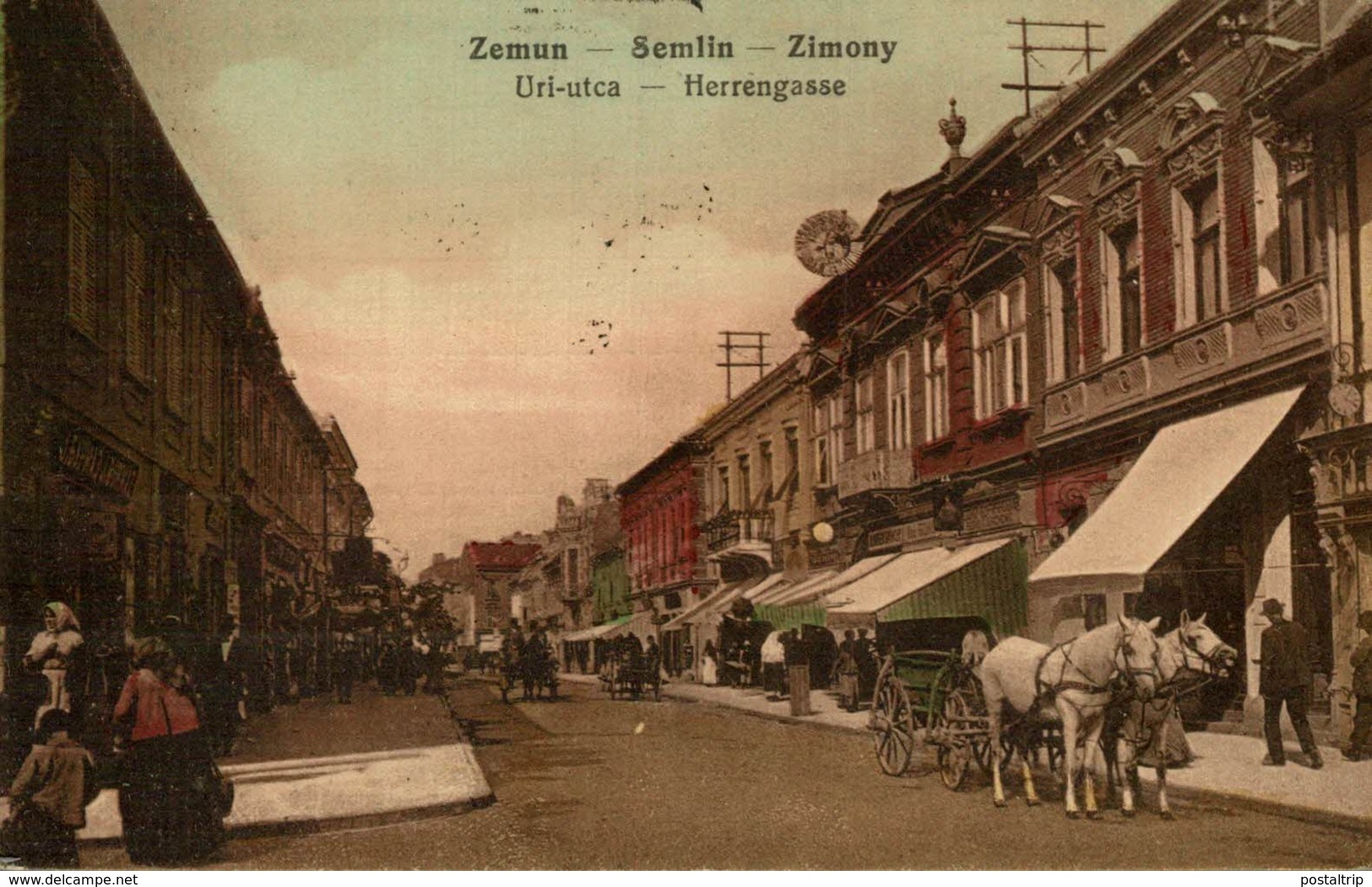 ZEMUN - Semlin - Zimony - Herrengasse  URI UTCA    Serbien Serbia Srbija - Serbie