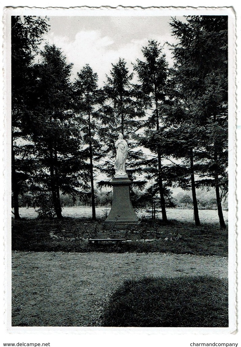 Godinne Sur Meuse - Collège Saint-Paul - Statue De La Sainte Vierge  - 2 Scans - Yvoir