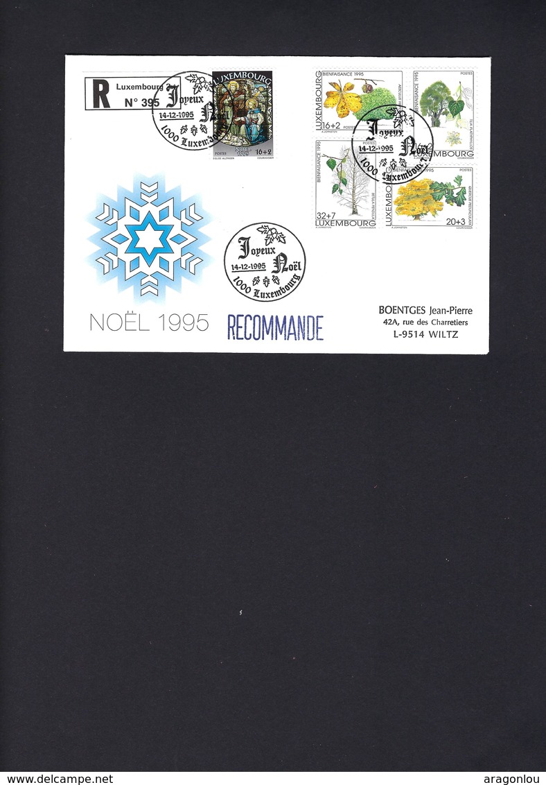 Lettre Recommandé, Jour D'Emission, Série Bienfaisance & Noël 1995, 5Timbres : Michel: 1380-1384 (2scans) - Autres & Non Classés