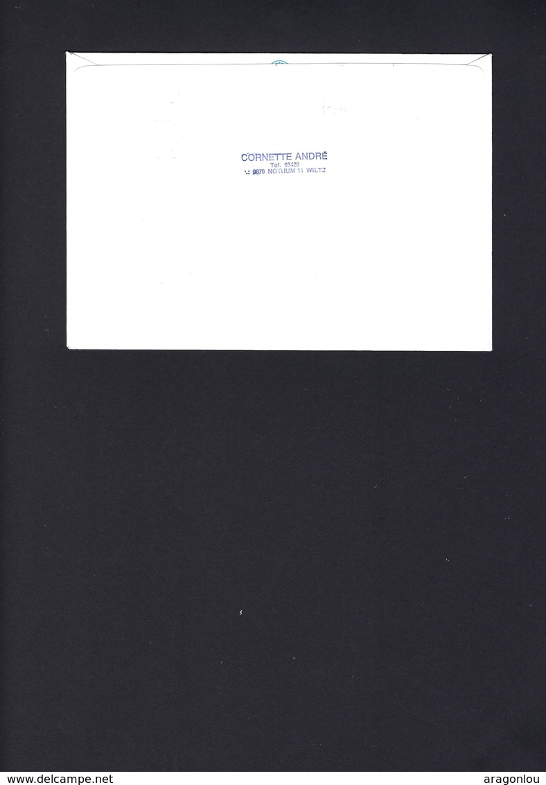 Lettre Recommandé, Jour D'Emission, Série Bienfaisance & Noël 1995, 5Timbres : Michel: 1380-1384 (2scans) - Autres & Non Classés