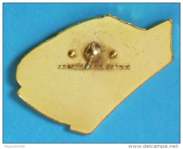 1 PIN'S  //   ** AUDI / DTM / ANTAR / COBRA / DUNLOP ** . (Arcane Paris Patent)