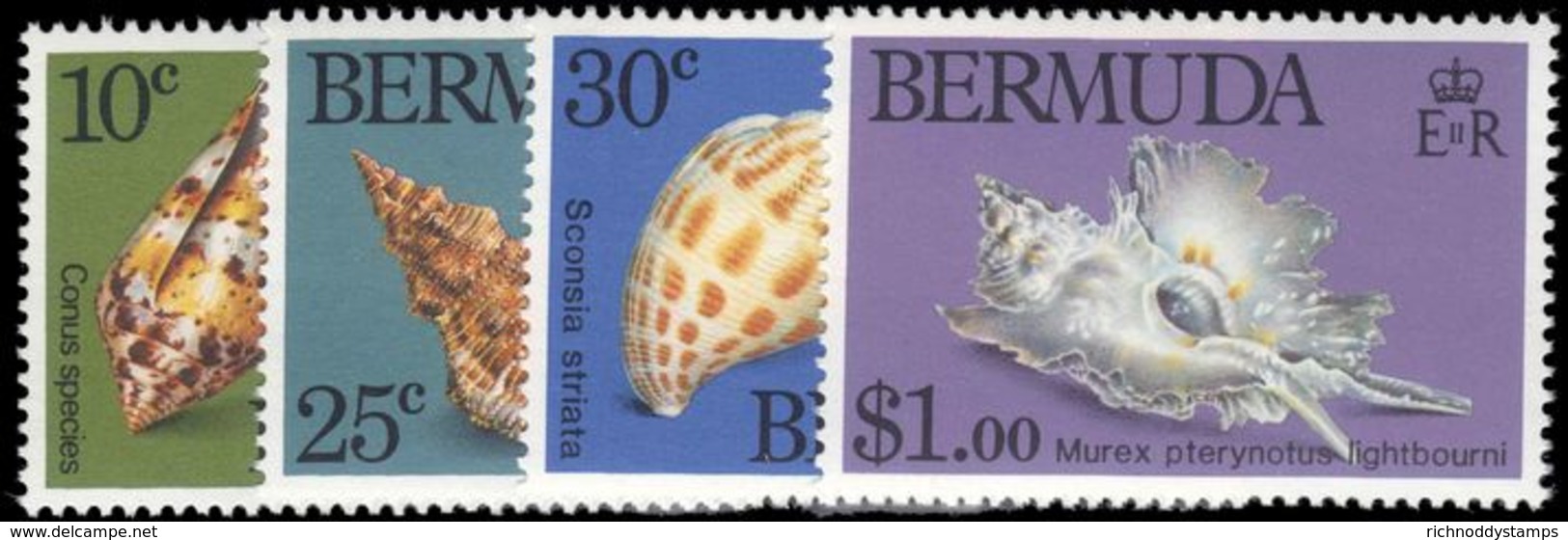 Bermuda 1982 Sea-shells Unmounted Mint. - Bermuda