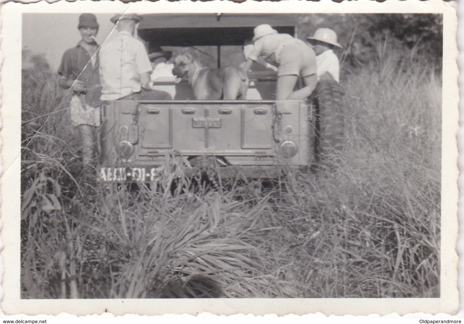 PORTUGAL PHOTO PHOTOGRAPH - PHOTOGRAPHY  - DOG - JEEP  - 6,2 Cm X 8,9 Cm - Cars