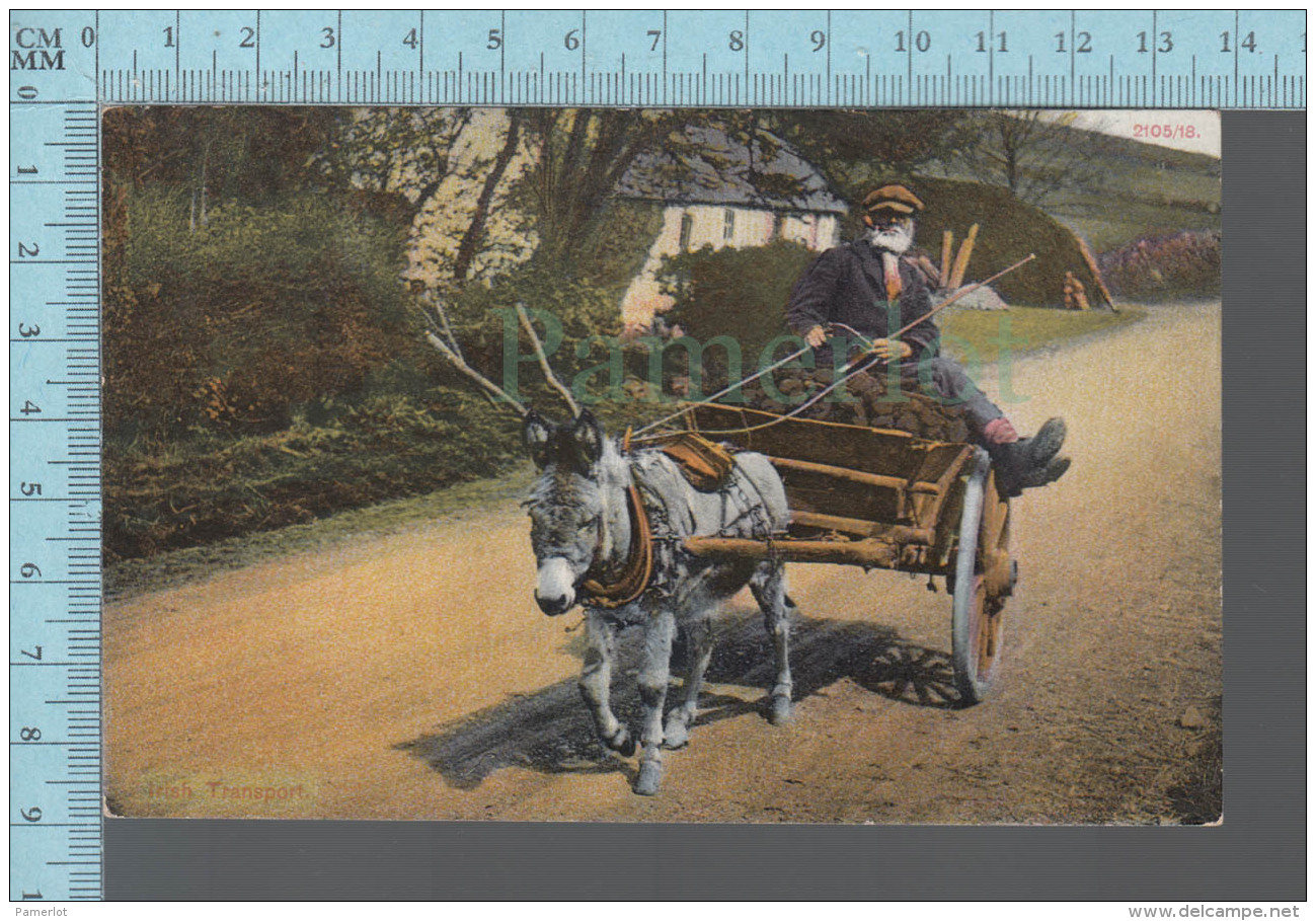 Irlande - Animated Irish Transport , Ane, Chariot - ED: 2105/18 -  CPA - Autres & Non Classés