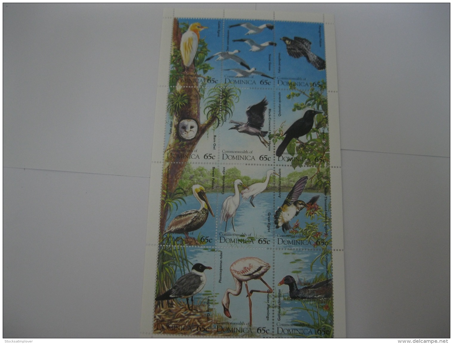 Dominica 1995 Birds Sheet Of 12 Stamps SC#1773 - Dominica (1978-...)