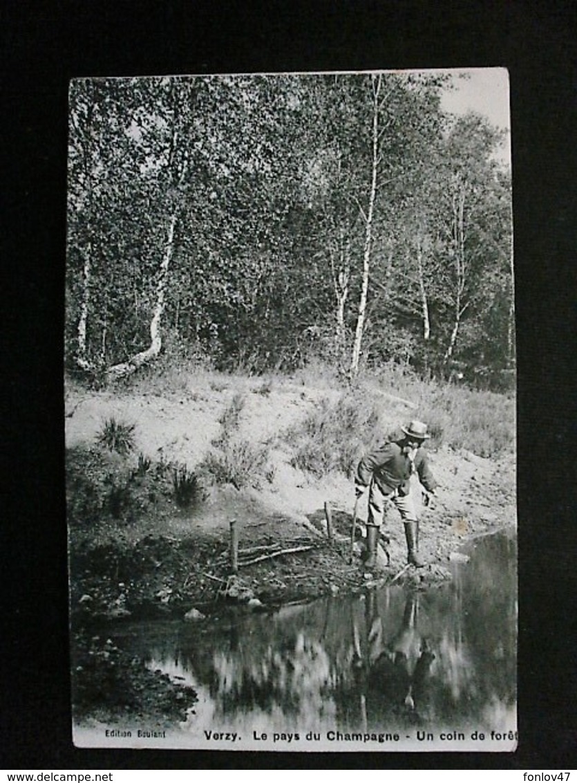 VERZY LE PAYS DU CHAMPAGNE UN COIN DE FORET - Verzy