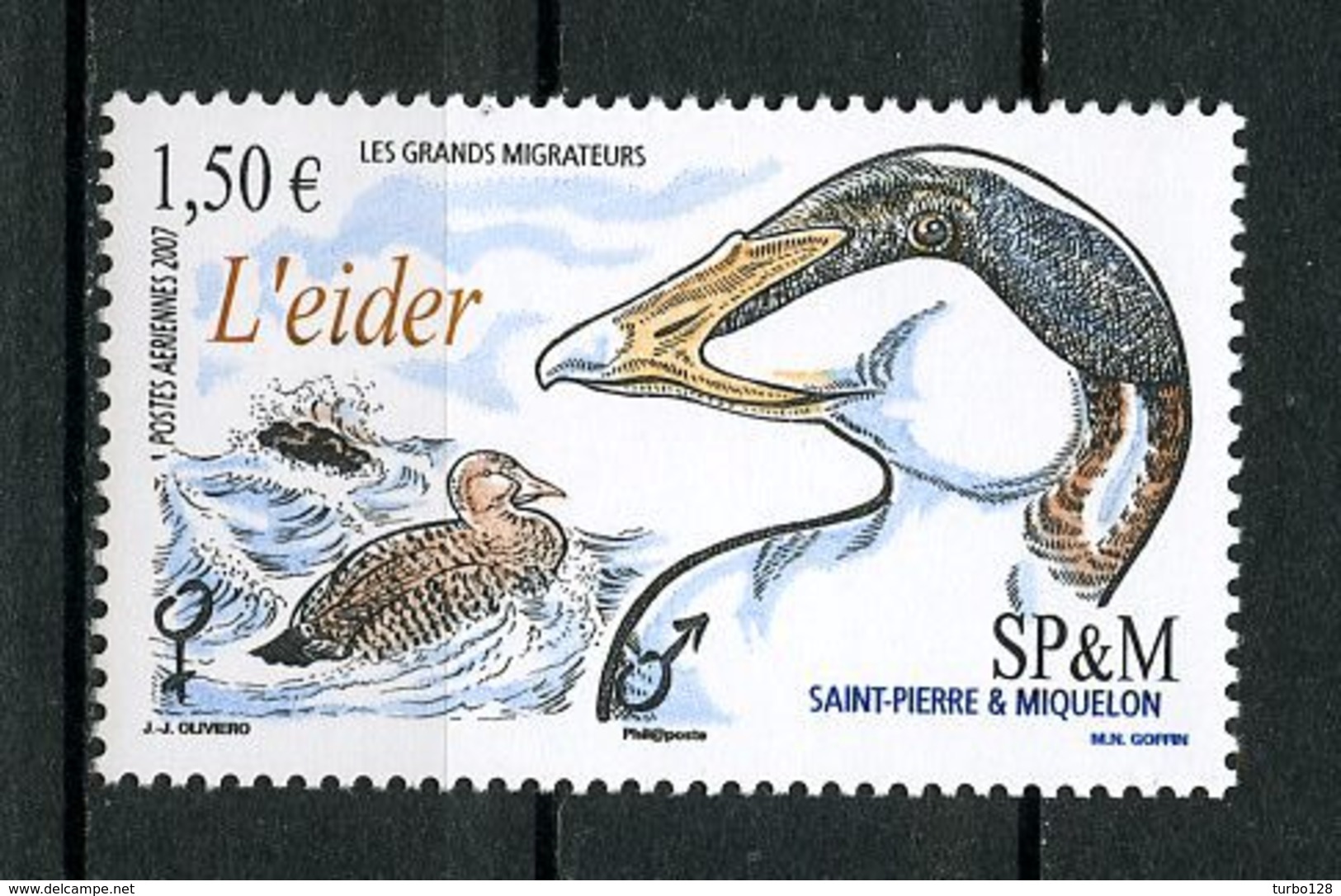 SPM 2007 PA  N° 87 ** Neuf MNH Superbe C 6 € Faune Oiseaux L' Eider Migrateurs Birds Fauna Animaux - Neufs