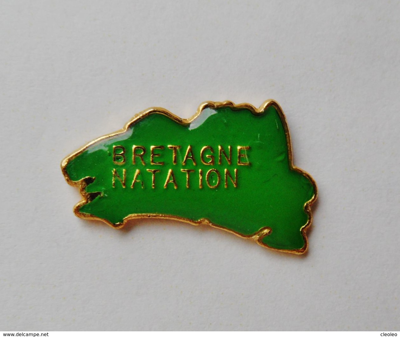 Pin's Carte De Bretagne Bretagne Natation - Other & Unclassified