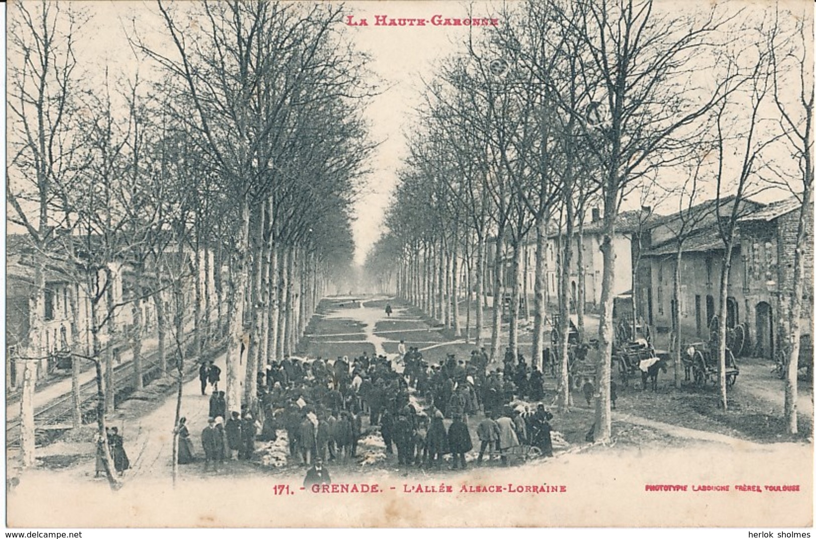 31. CPA. GRENADE. L'Allée Alsace Lorraine - Autres & Non Classés