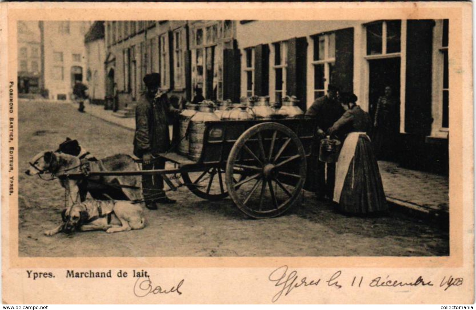 1 Postcard  Dogchart  Hondenkar Attelage De Chien   Ieper Ypres Maechand De Lait   Edit. Flor.Bartier  Ieper  1906 - Chiens