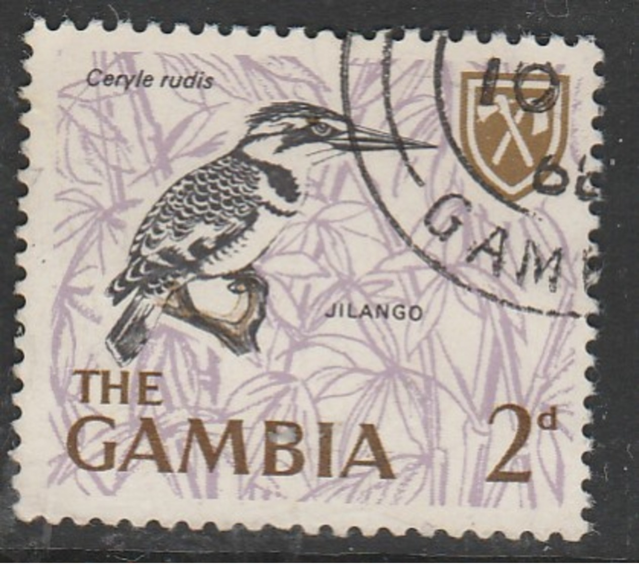 Gambia 1966 Birds  2 P Multicoloured SW 220 O Used - Gambia (1965-...)