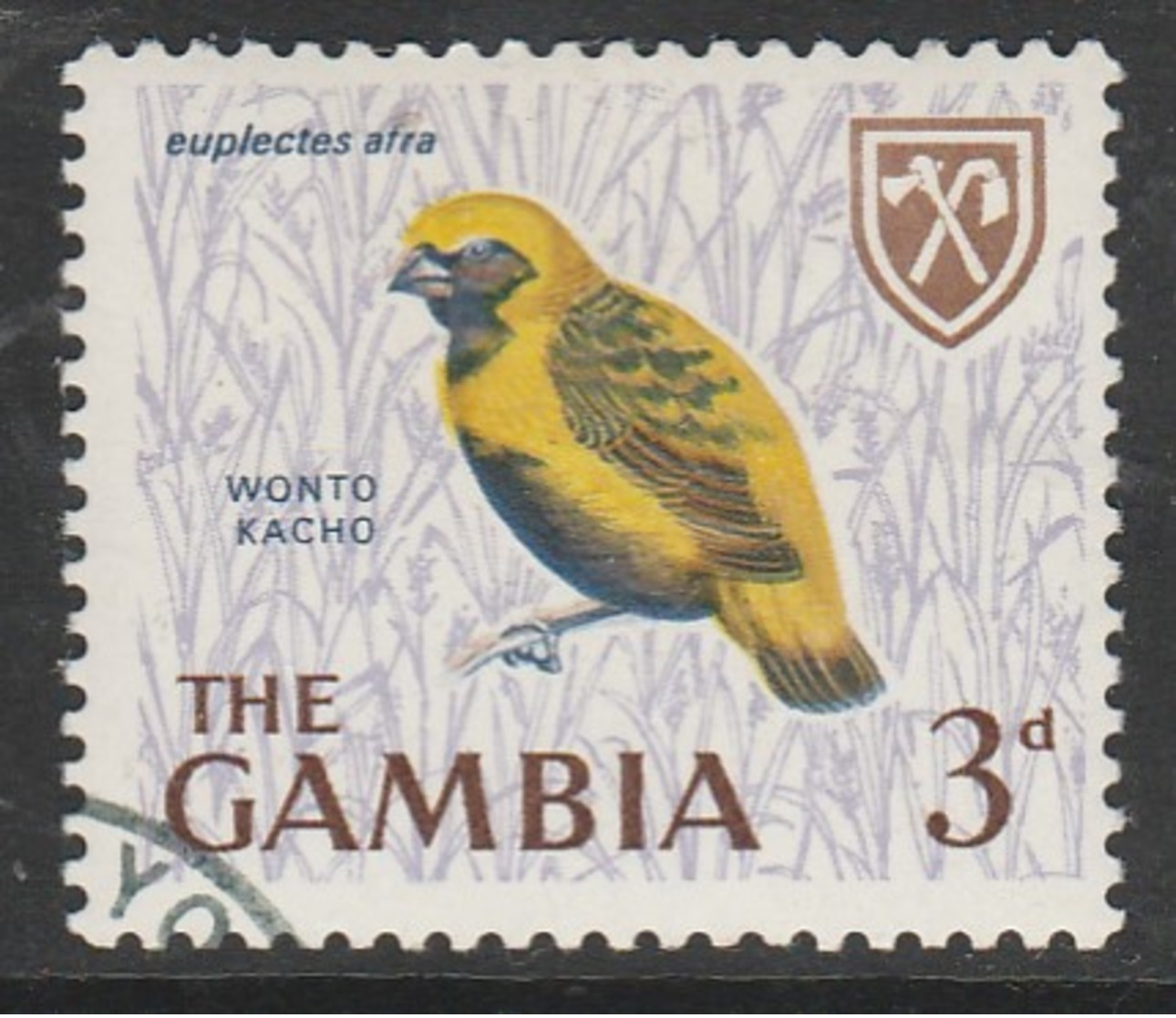 Gambia 1966 Birds  3 P Multicoloured SW 221 O Used - Gambia (1965-...)