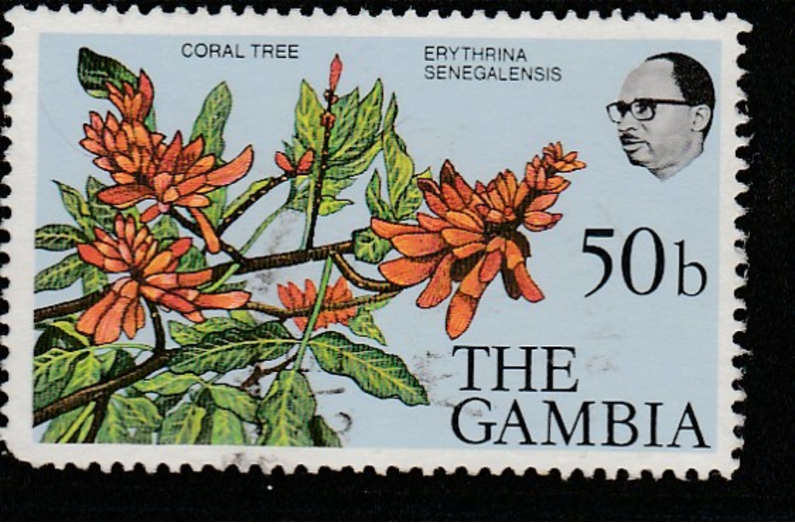 Gambia 1977 Flowers And Shrubs 50 B Multicoloured SW 360 O Used - Gambia (1965-...)