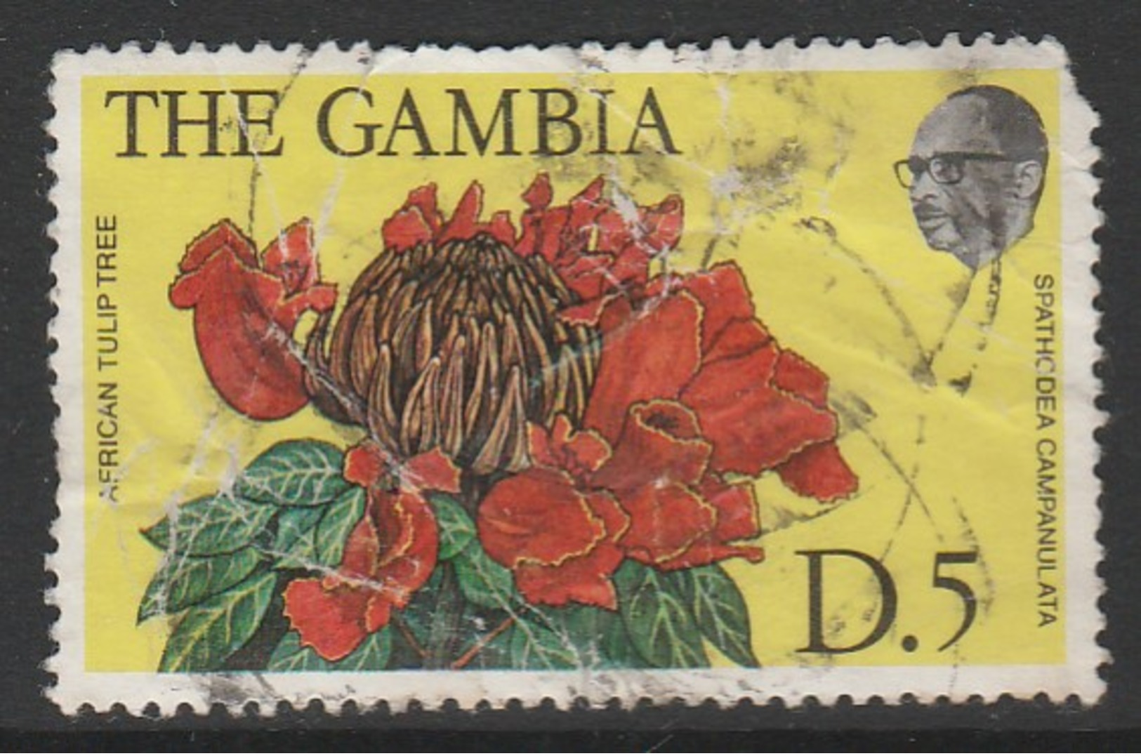Gambia 1977 Flowers And Shrubs 5 D Multicoloured SW 364 O Used - Gambia (1965-...)