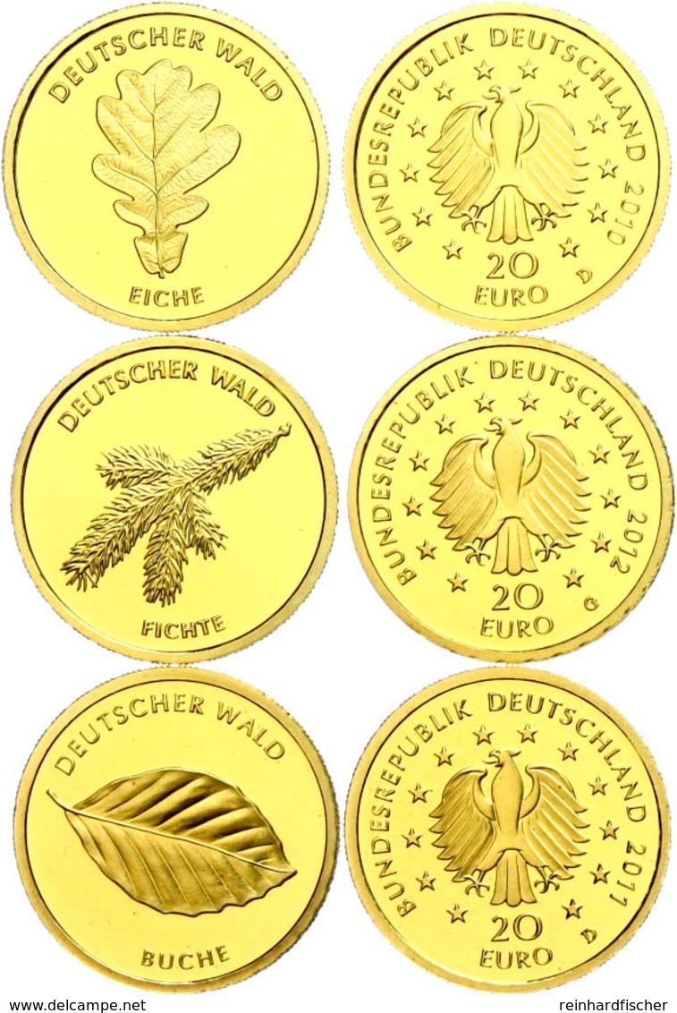 214 Set Zu 3 X 20 Euro, Gold, 2010-2012, Eiche-Fichte, Mit Zertifikaten In Ausgabeschatulle, St., Katalog: J. 552 St - Andere & Zonder Classificatie