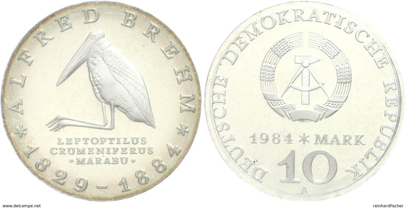 257 10 Mark, 1984, Brehm, In Hartplastik Verplombt, PP., Katalog: J. 1597 PP - Sonstige & Ohne Zuordnung