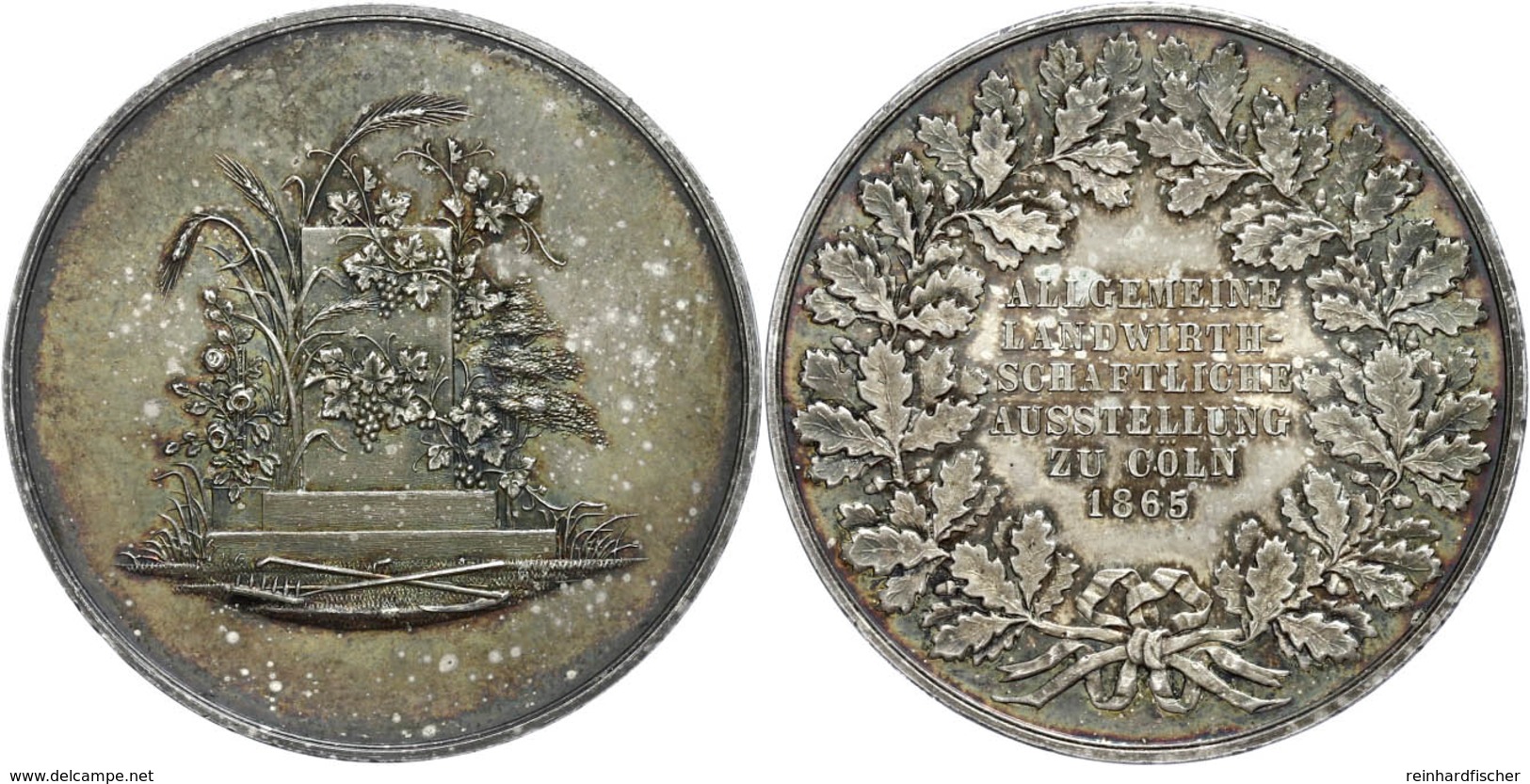822 Köln, Bronzemedaille Versilbert (41,2 Mm, 35,8 G), 1865, Auf Die Allgemeine Landwirtschaftliche Ausstellung, Av: Pos - Andere & Zonder Classificatie