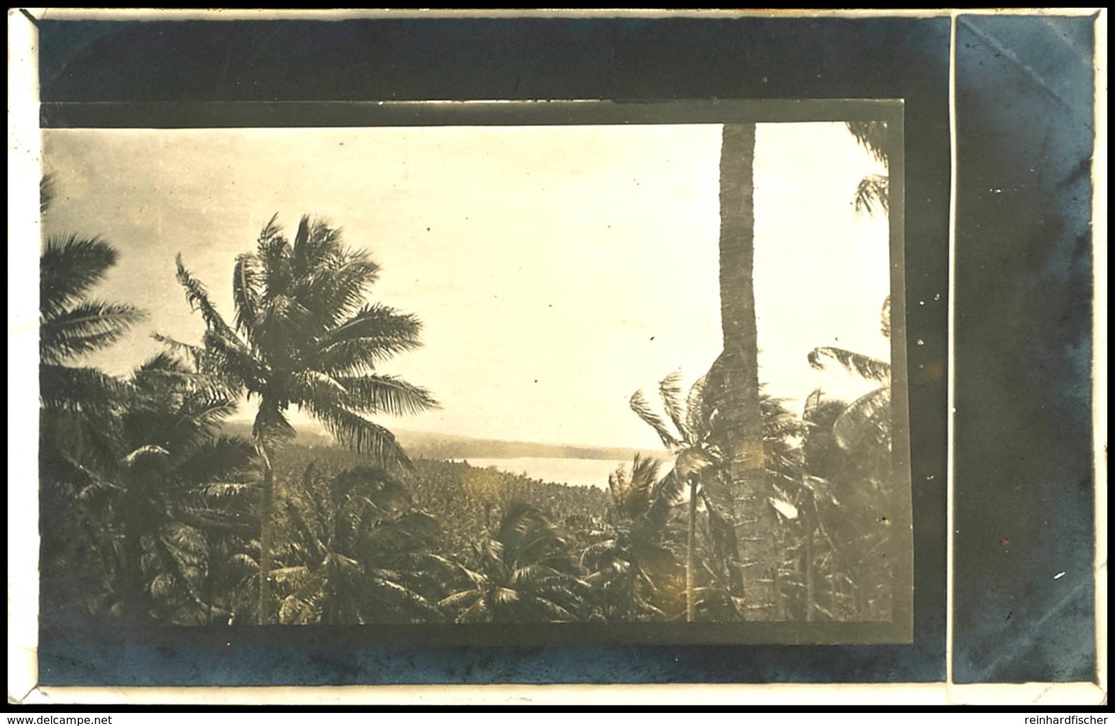 6782 LANDSCHAFT, Fotokarte (Palmen Und Strand) Mit 5 Pfg Kaiseryacht, Stempel RABAUL (DNG) -/13 - (Tag Und Jahr Nicht Le - Andere & Zonder Classificatie