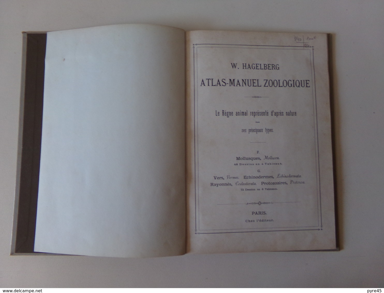 Atlas Manuel Zoologique Par W. Hagelberg " Mollusques, Vers Etc... " Fin 19 ème 48 Dessins En 4 Tableaux Complet - Other & Unclassified