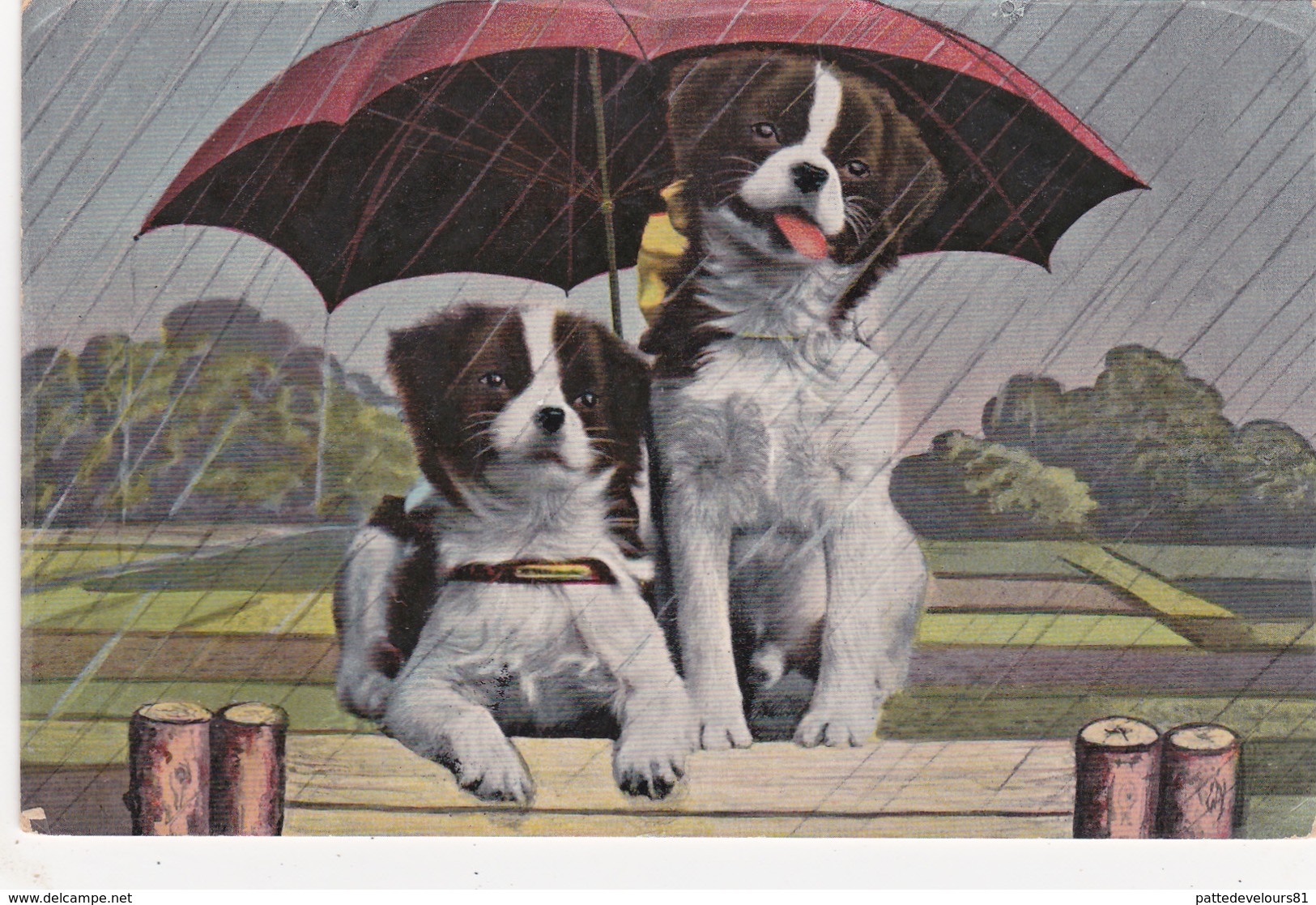 CPA Deux Chiens Sous Un Parapluie Pépin Pébroque Dog Fantaisie - Chiens