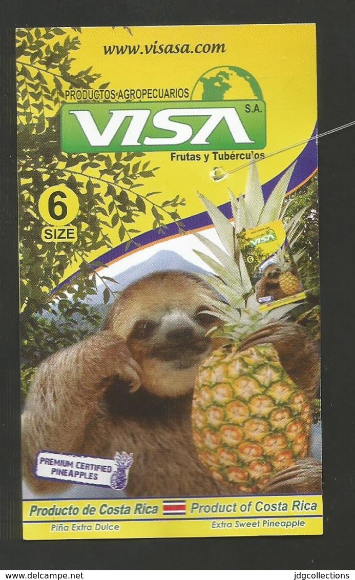 # PINEAPPLE VISA Size 6 - Fruit Tag Balise Etiqueta Anhanger Ananas Pina Bradipo Sloth Costa Rica - Fruits & Vegetables