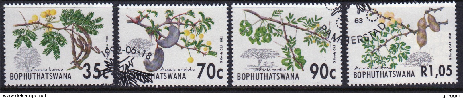 Bophuthatswana Set Of Stamps Celebrating Acacia Trees From 1992. - Bofutatsuana