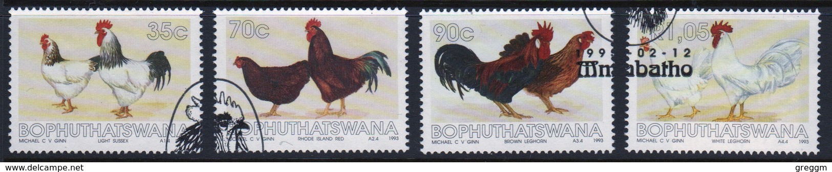 Bophuthatswana Set Of Stamps Celebrating Chickens From 1993. - Bophuthatswana