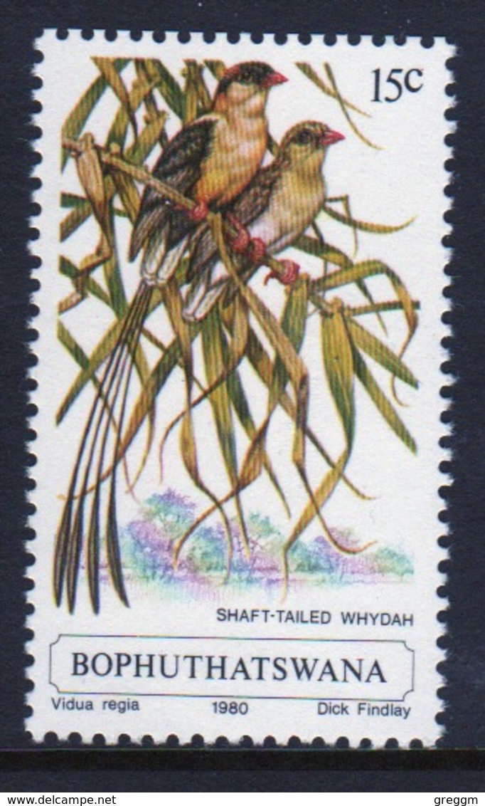 Bophuthatswana Single Stamp Showing The Shaft Tailed Whydah. - Bophuthatswana