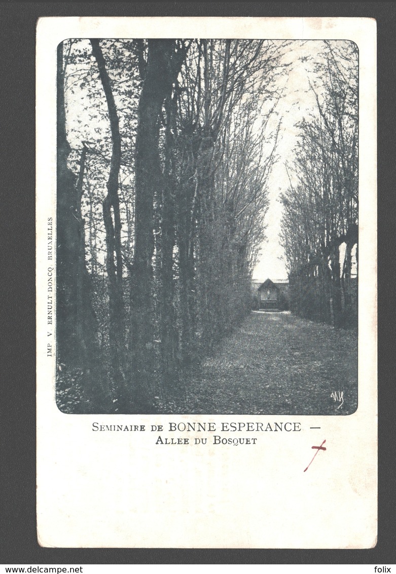 Estinnes - Séminaire De Bonne-Espérance - Allée Du Bosquet - 1902 - Dos Simple - Estinnes