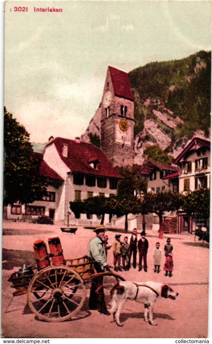 3 Postcards Dog Cart Attelage De Chien SUISSE Hundekarren Ernst Selhofer Mittelstr BERN 16 Interlaken 30219925 LUZERN - Venters