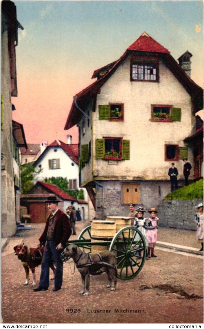 3 Postcards Dog Cart Attelage De Chien SUISSE Hundekarren Ernst Selhofer Mittelstr BERN 16 Interlaken 30219925 LUZERN - Venters