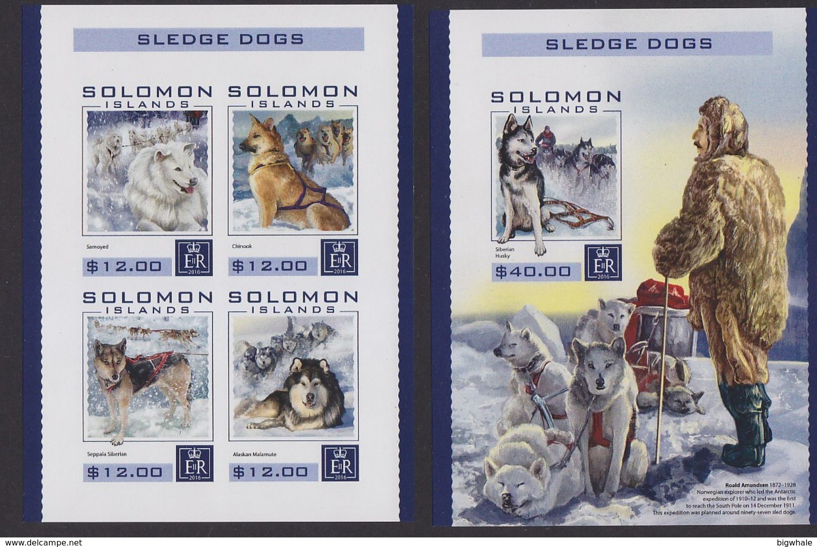 Solomon Islands 2016 Sled Dog Chien MNH 1SS+1sheet Imperforate - Solomon Islands (1978-...)