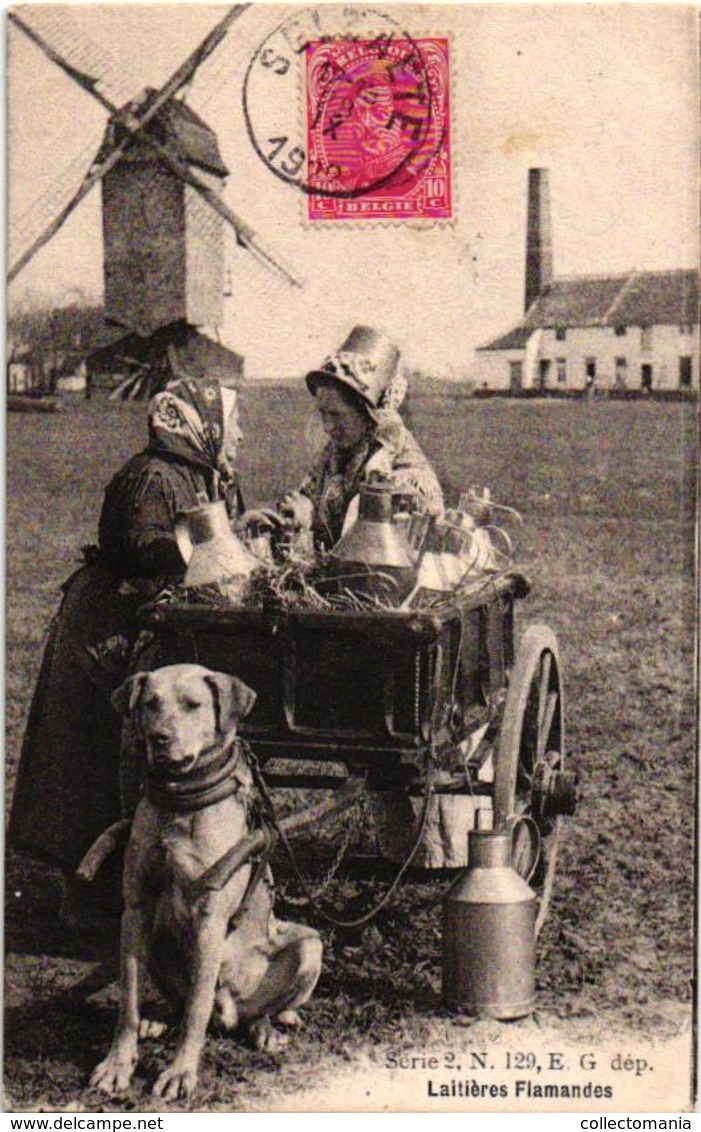 C1910 Molen En Fabriek In Zelzate Hondenkar ( Attelage De Chien, Dogcart ) LAITIERES Flamandes E. G. Serie 2 Nr 129 MELK - Zelzate