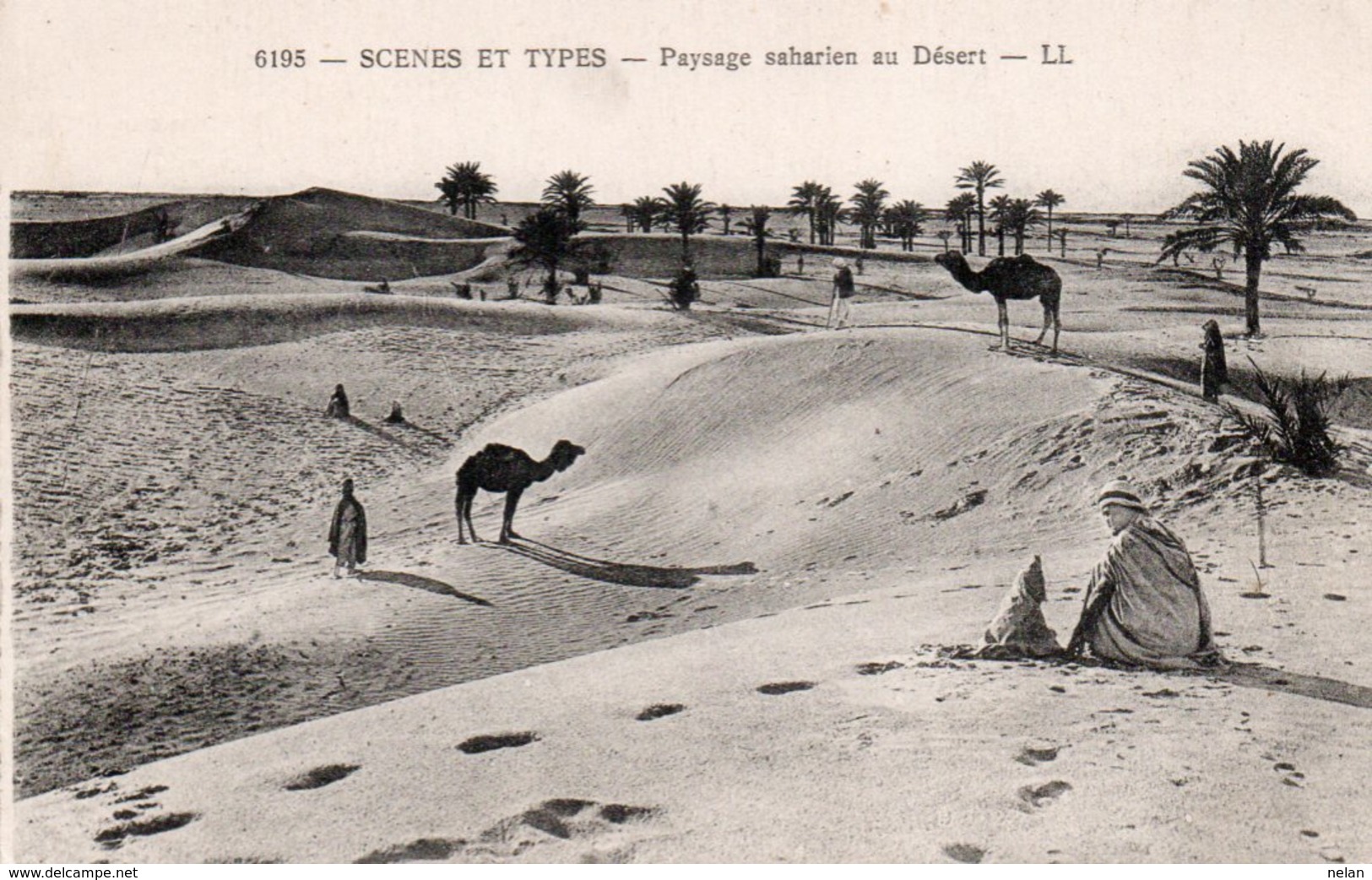 SCENES ET TYPES-PAYSAGE SAHARIEN AU DESERT - Sahara Occidentale