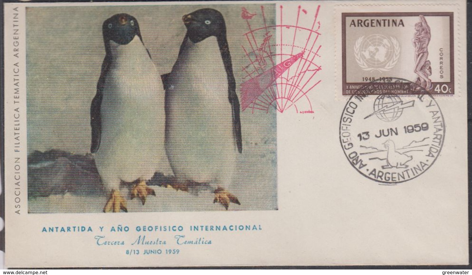 Argentina 1959 Antartida Y Ano Geofisco Internacional (cover With Penguins) Ca 13 Jun 1959 (40073) - Brieven En Documenten