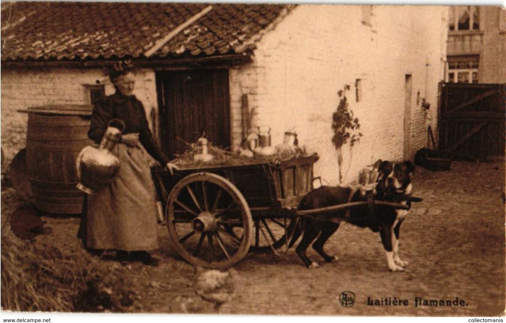 Nels Nr  42 Hondenkar ( Attelage De Chien, Dogcart ) LAITIERES Flamandes, C1919 Milch Melk Milk Melkboerin Melkmeisje - Marchands Ambulants