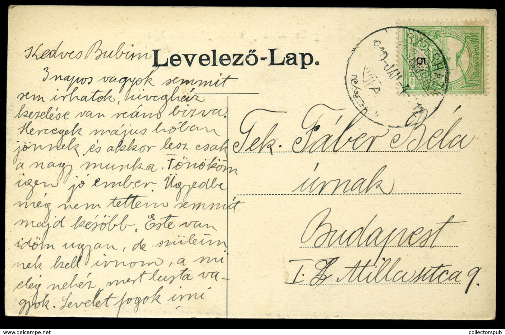 96253 ESZTERHÁZA 1910. Kastély, Régi Képeslap - Hungary