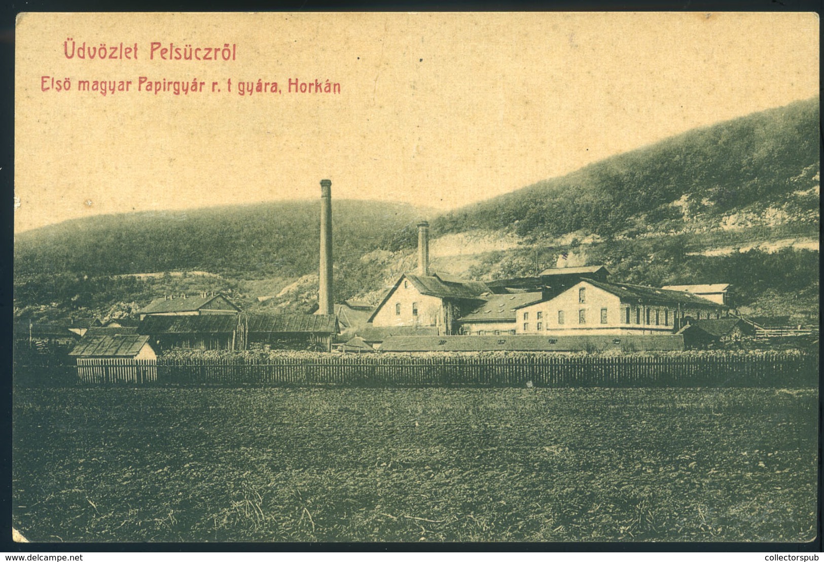 97253 PELSÜCZ 1910. Első Magyar Papírgyár, Ritka Képeslap  /  PELSÜCZ 1910 First Hun. Paper Factory HUNGARY / SLOVAKIA - Hungary