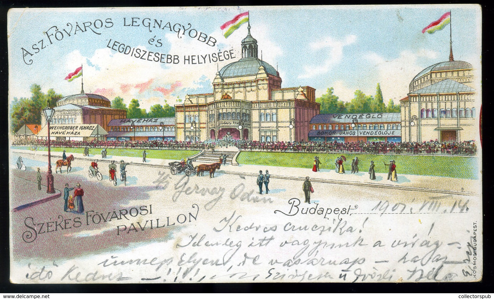99059 BUDAPEST 1901. Székesfővárosi Pavillon Litho Képeslap - Hungary